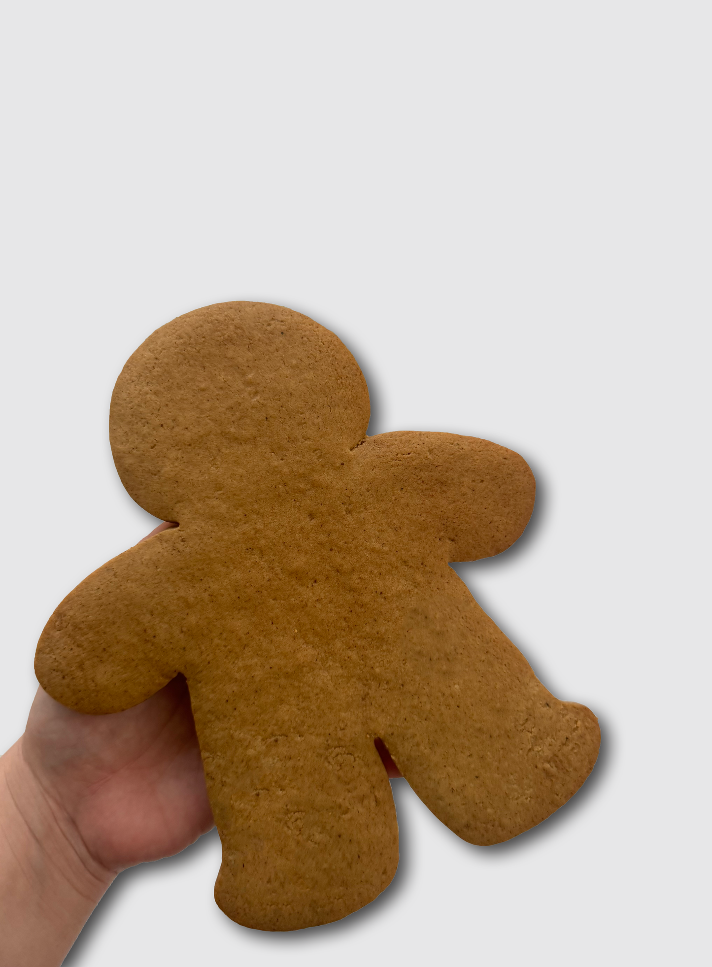 Gingerbread Man DIY Kit